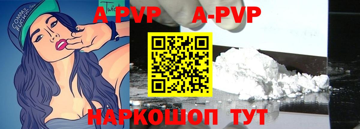 A-PVP СК КРИС Светлоград