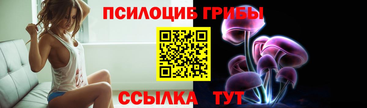 Светлоград  закладки  Вход с VPN  Галлюциногенные грибы мицелий 